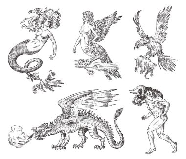 Mitolojik hayvanlar kümesi. Deniz kızı Minotaur Çince Ejderha Harpy Griffin efsanevi Basilisk Roc kadın kuş. Yunan yaratıklar. Oyma el çekilmiş antika eski vintage kroki.