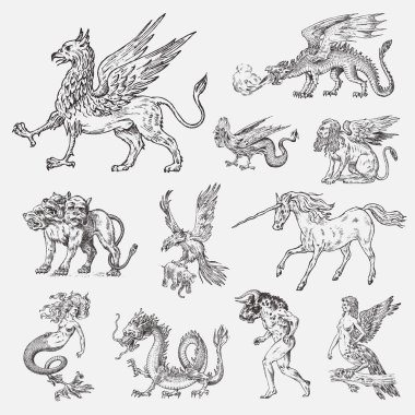 Mitolojik hayvanlar kümesi. Deniz kızı Minotaur tek boynuzlu at Çince Ejderha Cerberus Harpy Sfenks Griffin efsanevi Basilisk Roc kadın kuş. Yunan yaratıklar. Oyma el çekilmiş antika eski vintage kroki.