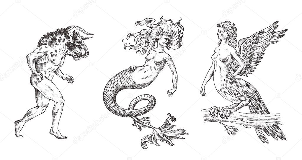 Set of Mythological animals. Mermaid Minotaur Harpy Woman Bird. Greek creatures. Engraved hand drawn antique old vintage sketch.