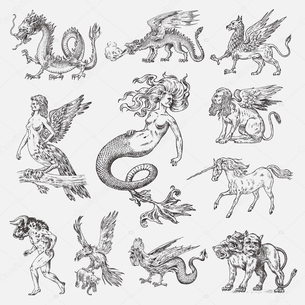 Set of Mythological animals. Mermaid Minotaur Unicorn Chinese dragon Cerberus Harpy Sphinx Griffin Mythical Basilisk Roc Woman Bird. Greek creatures. Engraved hand drawn antique old vintage sketch.