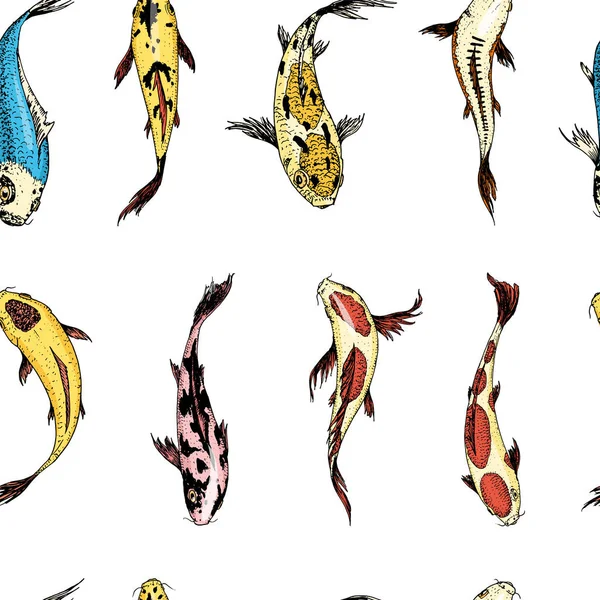 Carpas Koi, peixe japonês padrão sem costura. Animais coreanos. Gravado mão desenhada linha arte Vintage tatuagem monocromático esboço para etiqueta . — Vetor de Stock