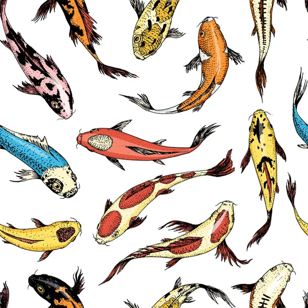 Carpas Koi, peixe japonês padrão sem costura. Animais coreanos. Mão gravada desenhada. Tatuagem vintage esboço monocromático . — Vetor de Stock