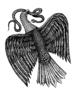 Aquila özgürlüğün sembolü. Bir yılan yiyen bir kartal. Vahşi yırtıcı kuş. Vektör elle çizilmiş izole. Vintage şablon tasarımı için. Oyulmuş tek renkli kroki.