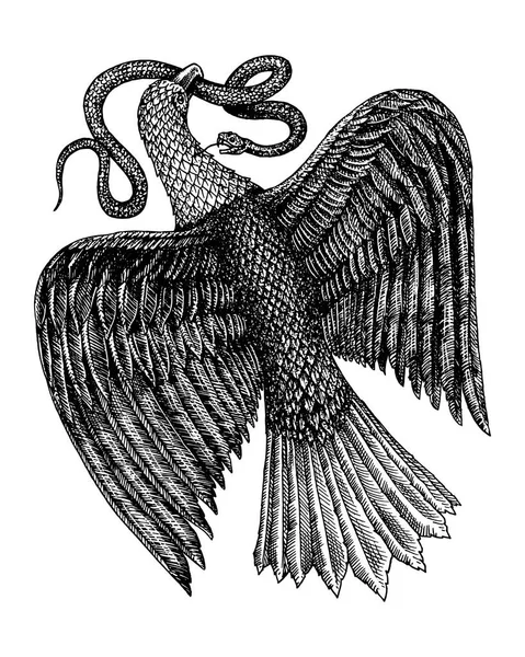 Символ свободы Акилы. Орел, поедающий змею. Дикая хищная птица. Изолированный Векторный рисунок. Винтажный шаблон для дизайна. Гравированный монохромный эскиз . — стоковый вектор