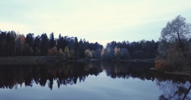 Vue aérienne par drone du lac et de la forêt, au-dessus des arbres. Paysage russe avec pins et sapins, soirée dans la nature sauvage 4k 