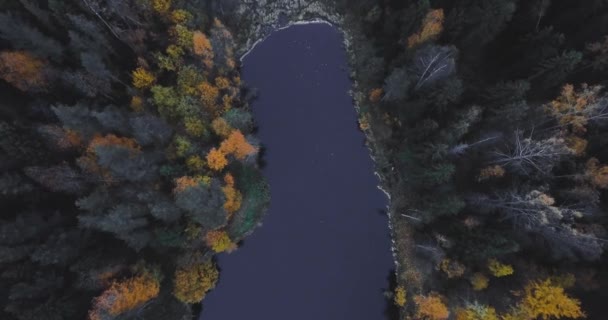 Aerial Drone View Lake Forest Trees Russian Landscape Pines Fir — Stock Video