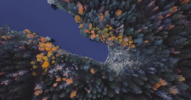 湖と森の木の上の空中ドローン ビュー。松やモミ、夜の野生の自然 4 k で時間とロシアの風景 — ストック動画