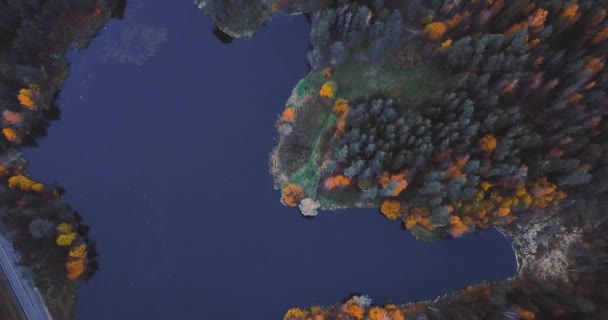 Luchtfoto drone uitzicht op meer en bos, boven de bomen. Russische landschap met dennen en sparren, 's avonds tijd in wilde natuur 4k — Stockvideo