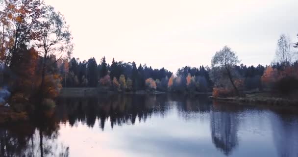 Вид Воздуха Озеро Лес Над Деревьями Русский Пейзаж Соснами Огнями — стоковое видео