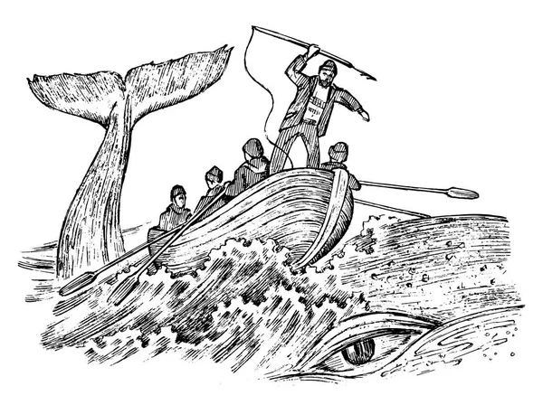 捕鲸在18世纪和19世纪。复古海景与猎人在船上与鱼叉。可怕的动物杀人。复古风格。雕刻的手绘草图. — 图库矢量图片