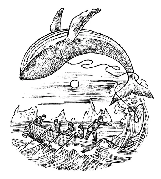 La chasse à la baleine aux XVIIIe et XIXe siècles. Paysage marin vintage avec chasseurs dans des bateaux avec harpons. Meurtre effrayant d'animaux. Style vintage. Croquis gravé à la main . — Image vectorielle