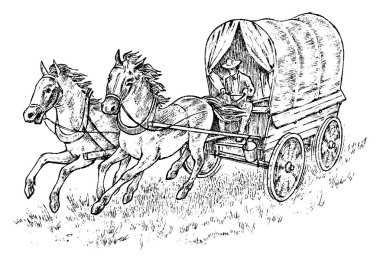 Arabayı Cowboy. Vintage at koşum takımı veya Şerif s sepeti. Batı rodeo simgesi, Texas Ranger, Şerif şapkalı. Vahşi Batı, Country tarzı. Elle çizilmiş kroki kazınmış.