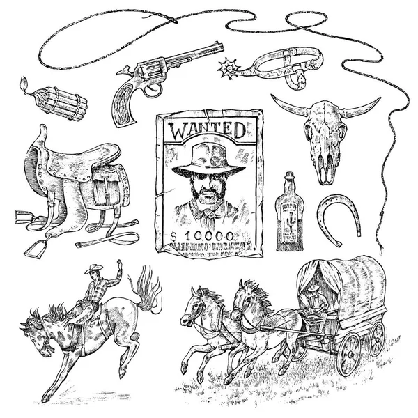 Um conjunto de cowboys. Ícones ocidentais, equipamentos Texas Ranger. Wild West. retrato de um homem criminoso, xerife e sela, crânio de um touro, chicote e armadilha de revólver. Vintage gravado mão desenhada esboço . —  Vetores de Stock