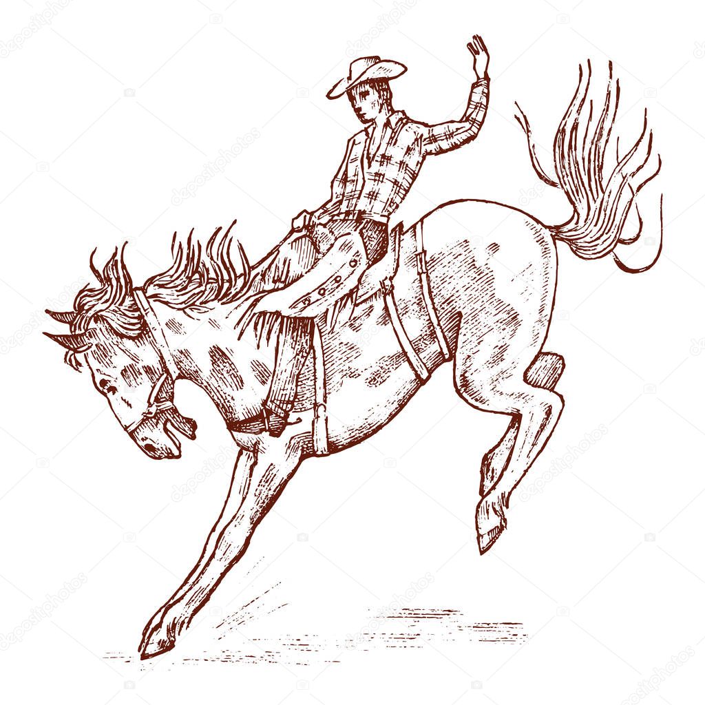 Cowboy riding a horse. Western rodeo icon, Texas Ranger, Sheriff in hat. Wild West, Country style. Vintage Engraved hand drawn sketch.