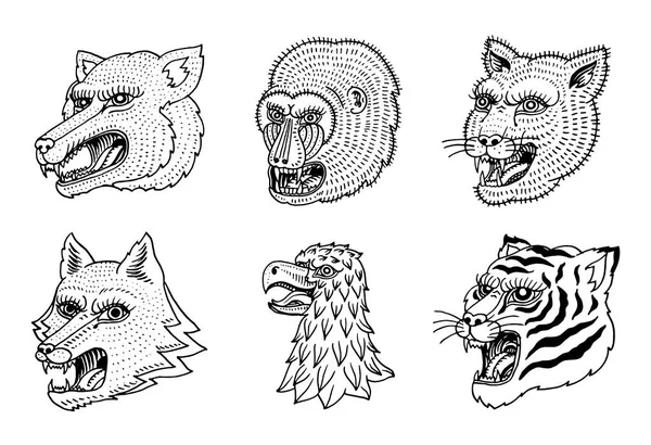 野生動物の捕食者の頭。プーマ狼狐虎イーグル ファルコン猿顔。日本スタイルの肖像画。手は、レトロなロゴに刻まれたモノクロの古いスケッチを描画します。クローズ アップ. — ストックベクタ