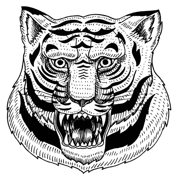 Chef des prédateurs d'animaux sauvages. Asian Tiger Face. Portraits de style japonais. Croquis ancien monochrome gravé à la main pour logos rétro. Gros plan . — Image vectorielle