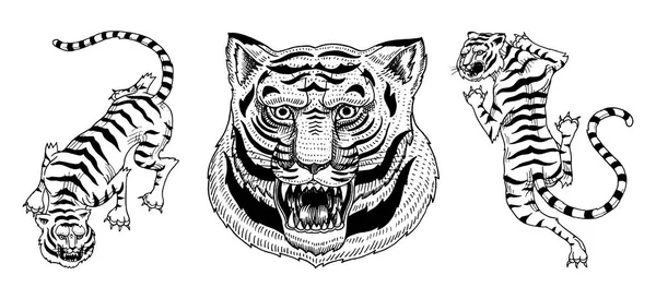 Tigres asiáticos em estilo japonês vintage para o logotipo. Fecha a cara. Animais selvagens gatos. Predadores da selva. Desenho à mão gravado Monocromático Esboço antigo para t-shirt de tatuagem ou site . — Vetor de Stock