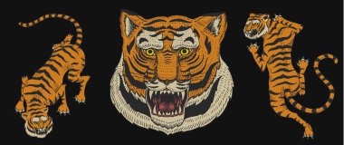 Asya Kaplanları logo için vintage Japon tarzında. Yüzünü kapat. Vahşi hayvanlar kediler. Orman--dan yırtıcı hayvan. Elle çizilmiş kazınmış tek renkli eski kroki için dövme t-shirt veya web sitesi.
