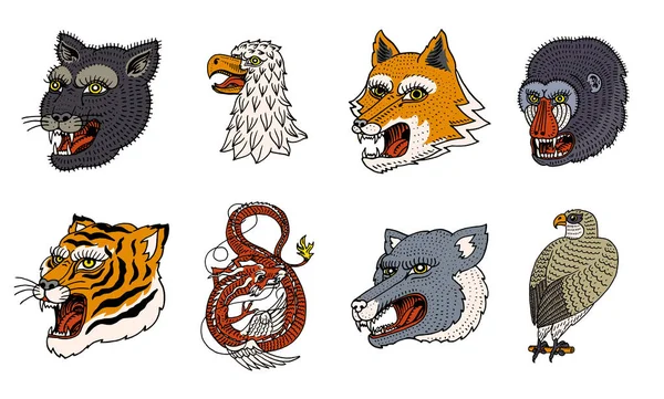 Chefe do Predador de Animais Selvagens. Puma Wolf Fox Tiger Eagle Falcon Monkey Face e Dragão Chinês. Retratos de estilo japonês. Desenho à mão Gravado Monocromático Velho Esboço para logotipos retro. Fechar . —  Vetores de Stock