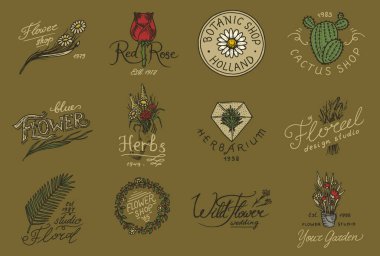 Çiçek dükkanı amblem ve logo. Vintage buket. Bahçe işaret ve retro etiket. El rozetleri çekilmiş. Çiçek şablonları.