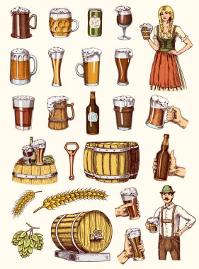 Bira cam, kupa veya oktoberfest şişe kümesidir. Alkollü içki. Mürekkeple el çekilmiş eski kroki ve Vintage tarzı web, parti davetiyeler veya pub menü için oyulmuş. İzole öğeleri.