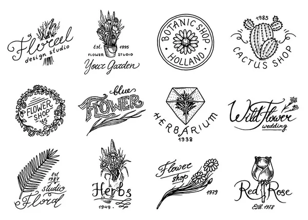 Emblemi e logo del negozio di fiori. Bouquet vintage. Segni di giardinaggio ed etichetta retrò. Distintivi disegnati a mano. Modelli floreali . — Vettoriale Stock