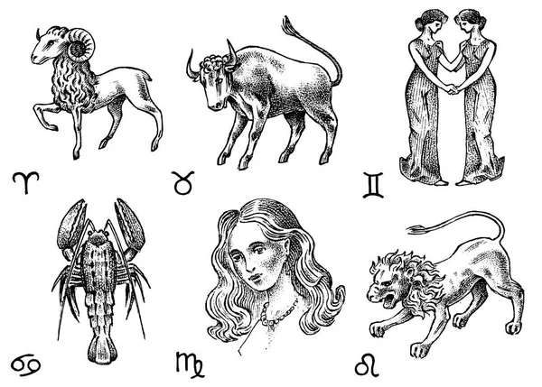 Zodiac icons. Astrology horoscope with signs. Calendar template. Collection outline animals. Classic vintage style. Aries Taurus Gemini Cancer Leo Virgo. Engraved hand drawn sketch. — Stock Vector