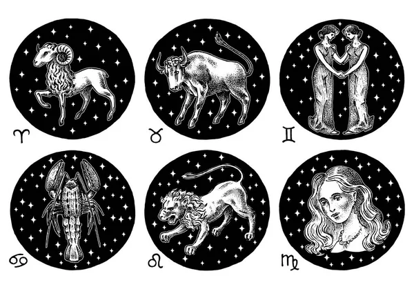 Zodiac icons. Astrology horoscope with signs. Calendar template. Collection outline animals. Classic vintage style. Aries Taurus Gemini Cancer Leo Virgo. Engraved hand drawn sketch. — Stock Vector