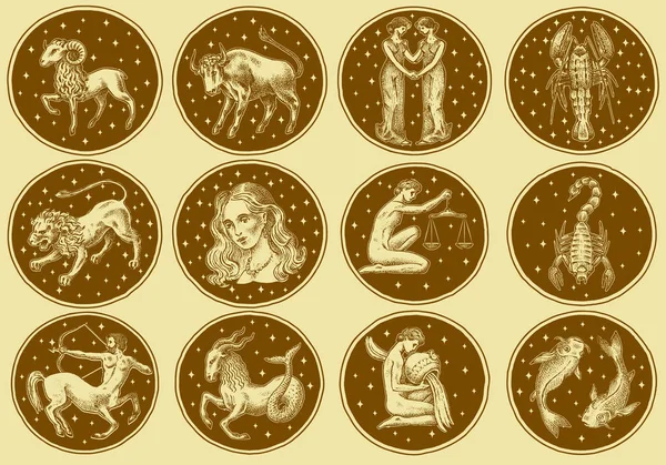 Állatöv ikonok. Asztrológia Horoszkóp jelek. Naptár sablon. Gyűjtemény szerkezeti állatok. Címkék és matricák, a felület, vagy a webhely. Klasszikus vintage stílusú. Vésett kézzel rajzolt vázlat. — Stock Vector