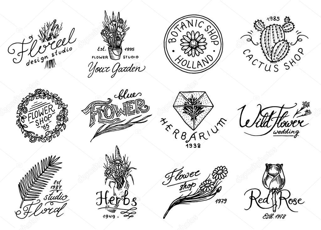Flower shop emblems and logo. Vintage bouquet. Gardening signs and retro label. Hand drawn badges. Floral templates