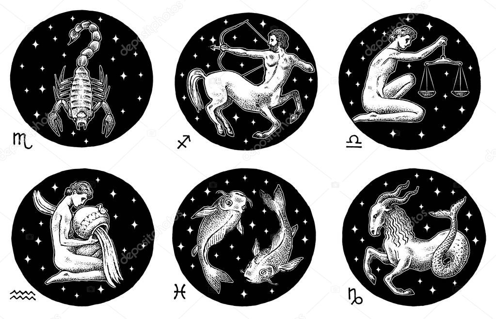 Zodiac icons. Astrology horoscope with signs. Calendar template. Collection outline animals. Classic vintage style. Libra Scorpio Sagittarius Capricorn Aquarius Pisces. Engraved hand drawn sketch.