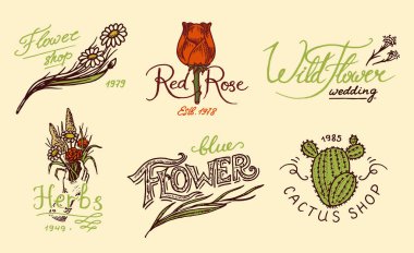 Çiçek dükkanı amblem ve parlak logo. Vintage buket. Bahçe işaret ve güzellik retro etiket. El rozetleri çekilmiş. Çiçek düğün şablonları.