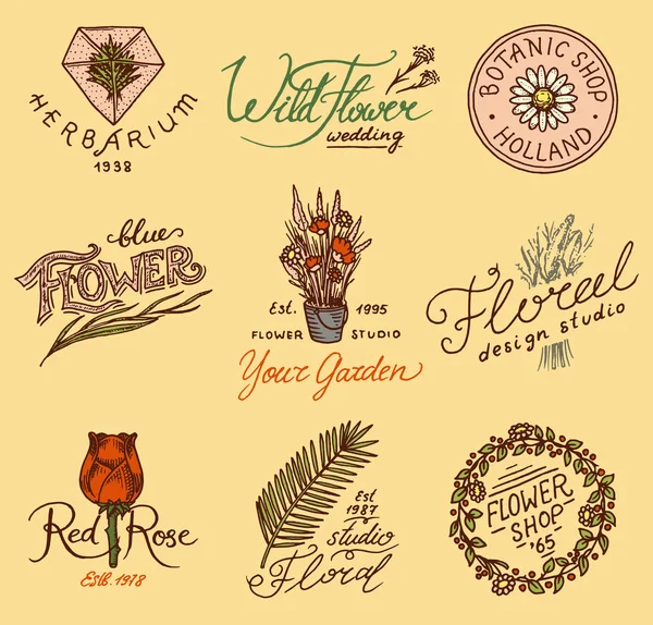 Emblemas Tienda Flores Logotipo Brillante Ramo Vintage Signos Jardinería Etiqueta — Vector de stock