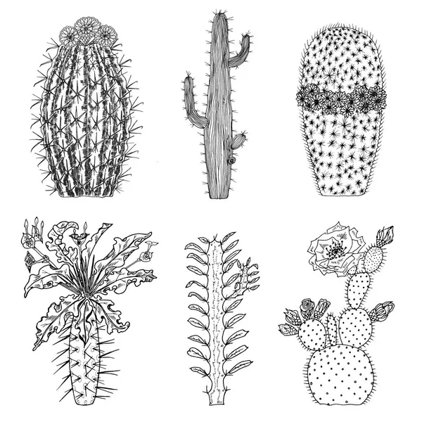 Home cactus plants and flowers. Set of cozy cute elements. Collection of Exotic or tropical succulents with prickles. Engraved hand drawn in old sketch and vintage doodle style. — Stock Vector