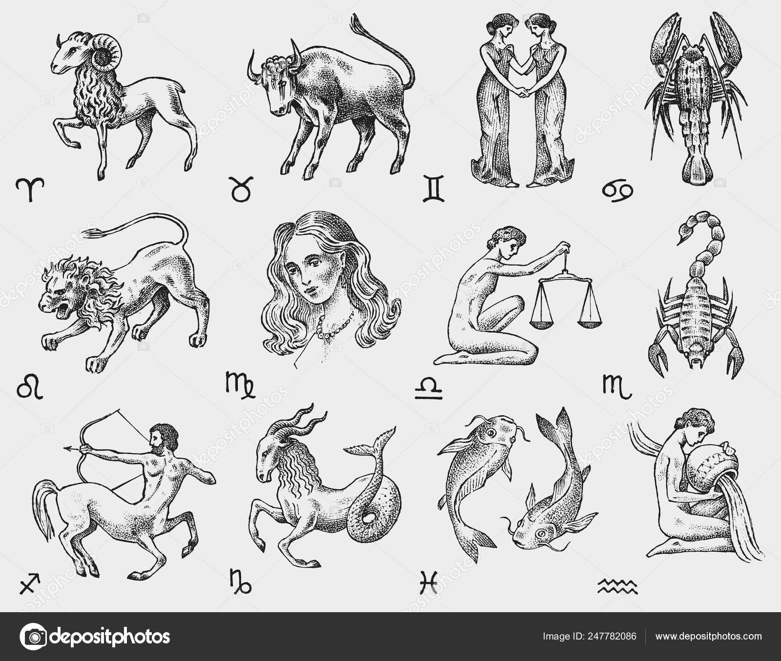 Zodiac icons. Astrology horoscope with signs. Calendar template. Collection outline animals. Vintage style. Libra Scorpio Sagittarius Capricorn Aquarius Pisces. Aries Taurus Gemini Cancer Leo Virgo. Stock Vector Image by ©ArthurBalitskiy #247782086 Zodiac icons. Astrology horoscope with signs. Calendar template. Collection outline animals. Vintage style. Libra Scorpio Sagittarius Capricorn Aquarius Pisces. Aries Taurus Gemini Cancer Leo Virgo. Stock Vector Image by ©ArthurBalitskiy #247782086