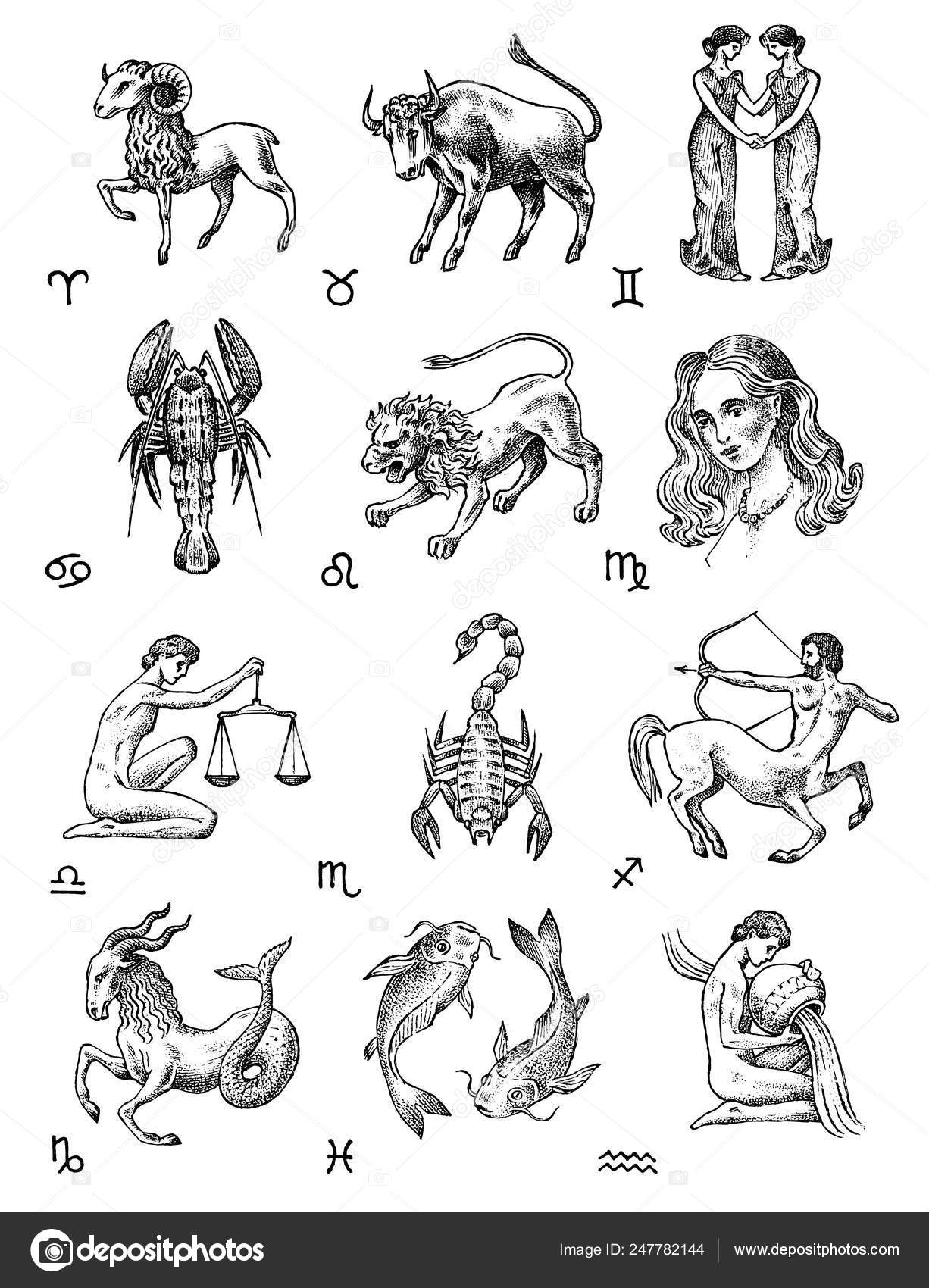 Zodiac icons. Astrology horoscope with signs. Calendar template ...