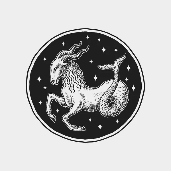 Capricorn Zodiac icon. Astrology horoscope with sign. Calendar template. Collection outline animals. Classic vintage style. Engraved hand drawn sketch. — Stock Vector