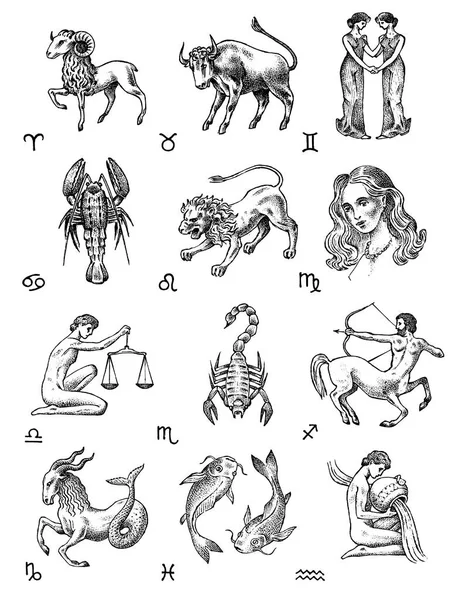 Znak zodiaku ikony. Astrologia Horoskop znaki. Szablon kalendarza. Kolekcja zwierząt konspektu. Styl Vintage. Waga Skorpion Strzelec Koziorożec Wodnik ryby. Baran Byk bliźnięta rak lew Virgo. — Wektor stockowy