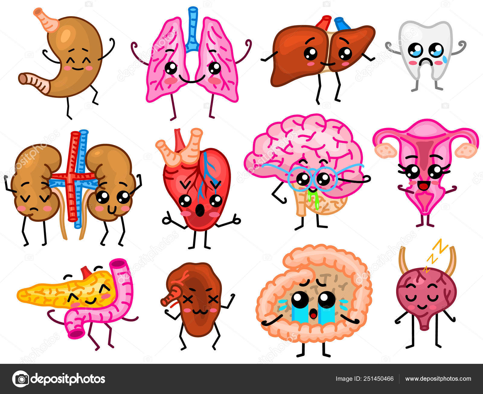 Set of organs. Cute happy human, smiling characters. Vector pins, cartoon  kawaii icons. Healthy heart, intestine, pancreas, brain, stomach, liver,  bladder, uterus organ, lungs, kidneys, gall bladder. Stock Vector Image by  ©ArthurBalitskiy #