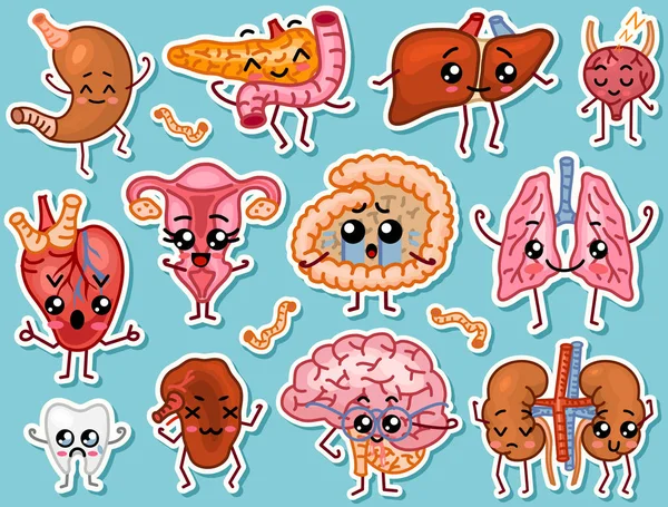 Niedliche Organe. glücklicher Mensch, eine Reihe lächelnder Charaktere. Vektor-Pins, Karikatur-Kawaii-Symbole. gesundes Herz, Magen, Leber, Blase, Gebärmutterorgan, Lungen, Nieren, Gallenblase, Darm, Bauchspeicheldrüse, Gehirn. — Stockvektor