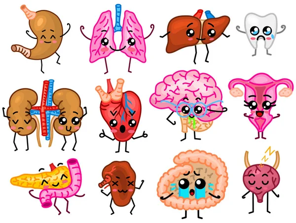 Conjunto de órganos. Lindo humano feliz, personajes sonrientes. Alfileres vectoriales, iconos kawaii de dibujos animados. Corazón, intestino, páncreas, cerebro, estómago, hígado, vejiga, órgano uterino, pulmones, riñones, vesícula biliar sanos . — Vector de stock