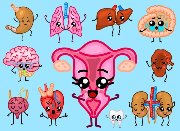 Lindos órganos. Feliz humano, Conjunto de personajes sonrientes. Alfileres vectoriales, iconos kawaii de dibujos animados. Corazón, estómago, hígado, vejiga, órgano uterino, pulmones, riñones, vesícula biliar, intestino, páncreas, cerebro sanos . — Vector de stock