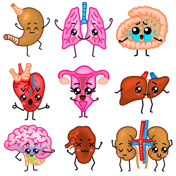 Lindos órganos. Feliz humano, Conjunto de personajes sonrientes. Alfileres vectoriales, iconos kawaii de dibujos animados. Corazón, estómago, hígado, vejiga, órgano uterino, pulmones, riñones, vesícula biliar, intestino, páncreas, cerebro sanos . — Vector de stock