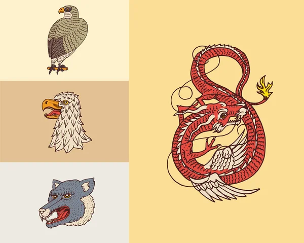 Cabeças de animais vintage. Logotipo para t-shirt. Dragão Chinês Selvagem, pantera, Falcão. Tradução O nome do dragão mitológico japonês. Monocromático gravado à mão . —  Vetores de Stock