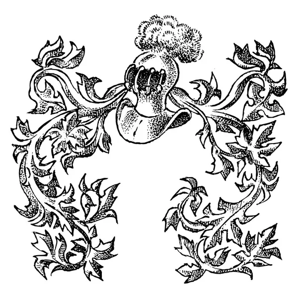 Ornamento com elementos caligráficos em estilo barroco. Heráldica medieval. Decoração florescente para os brasões de um reino de fantasia. Desenho vetorial desenhado à mão . —  Vetores de Stock