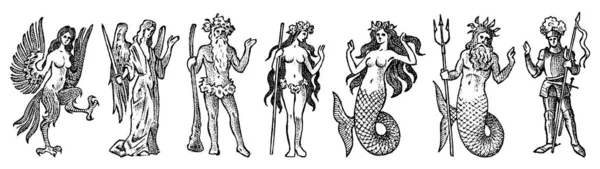 神话生物为赫拉德里在复古风格。雕刻的武器大衣与动物，鸟类，鱼，哈比，骑士。中世纪徽章和幻想王国的标志. — 图库矢量图片