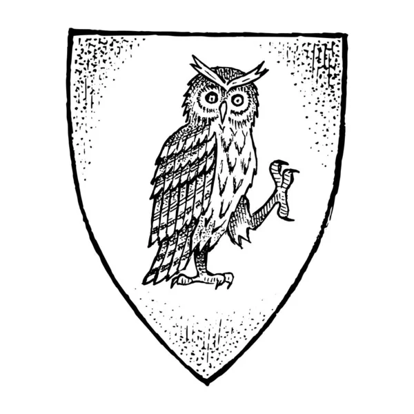 Animal para Heráldica em estilo vintage. Brasão de armas gravado com pássaro coruja. Emblemas medievais e o logotipo do reino da fantasia . —  Vetores de Stock