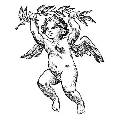 Defne bir şube ile sevimli melek. Kanatlarla küçük estetik Cupid gökyüzünde uçar. Monokrom oylanmış tarzı çocuklar. Dövme veya logo için şablon. El çizilmiş Vintage kroki.