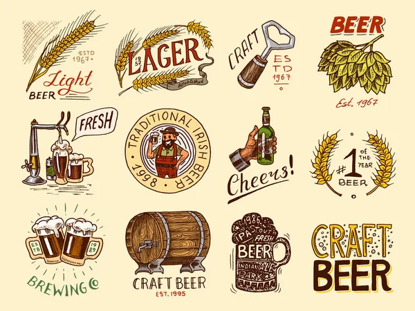 Üveg sört a kezében a felirat Cheers pirítós. Rozs és búza. Szett Vintage címkék és jelvények a plakát. Kézi vésett vázlat pub menühöz. — Stock Vector