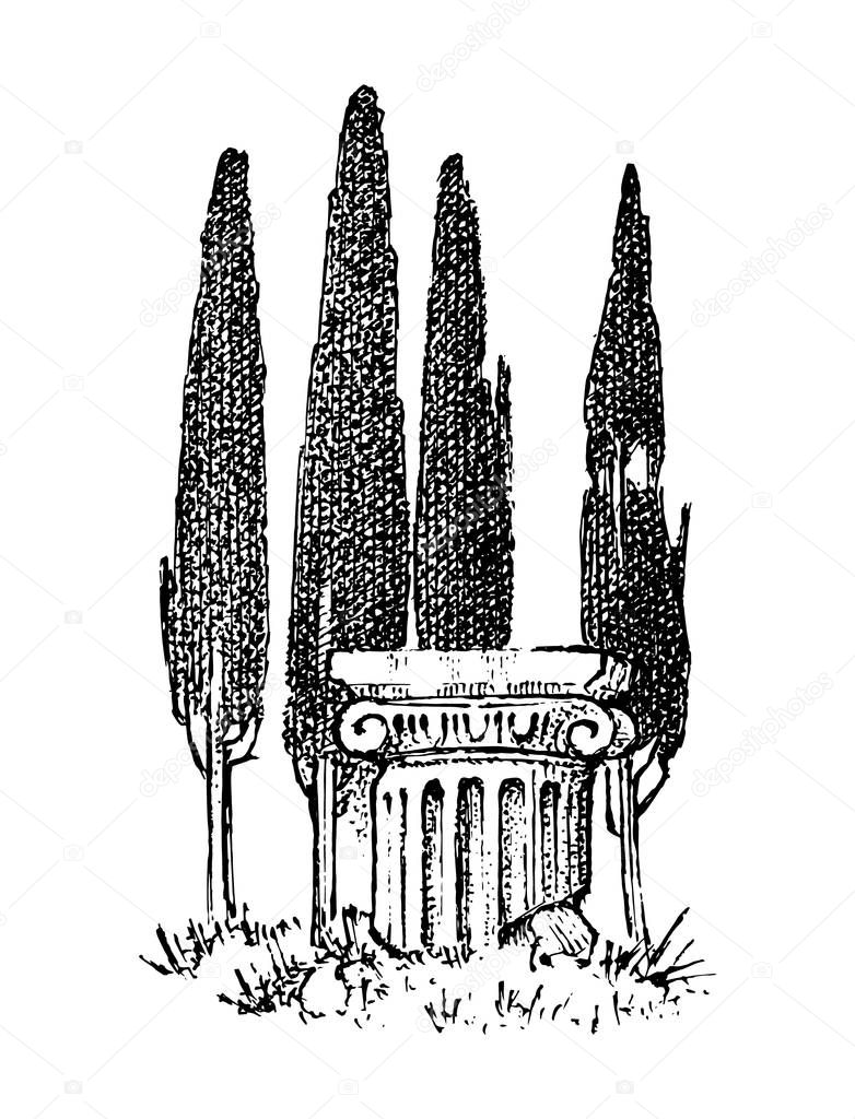 Cypress trees in Greece. Greek style antique column. Hand drawn engraved vintage sketch for poster, banner or website.